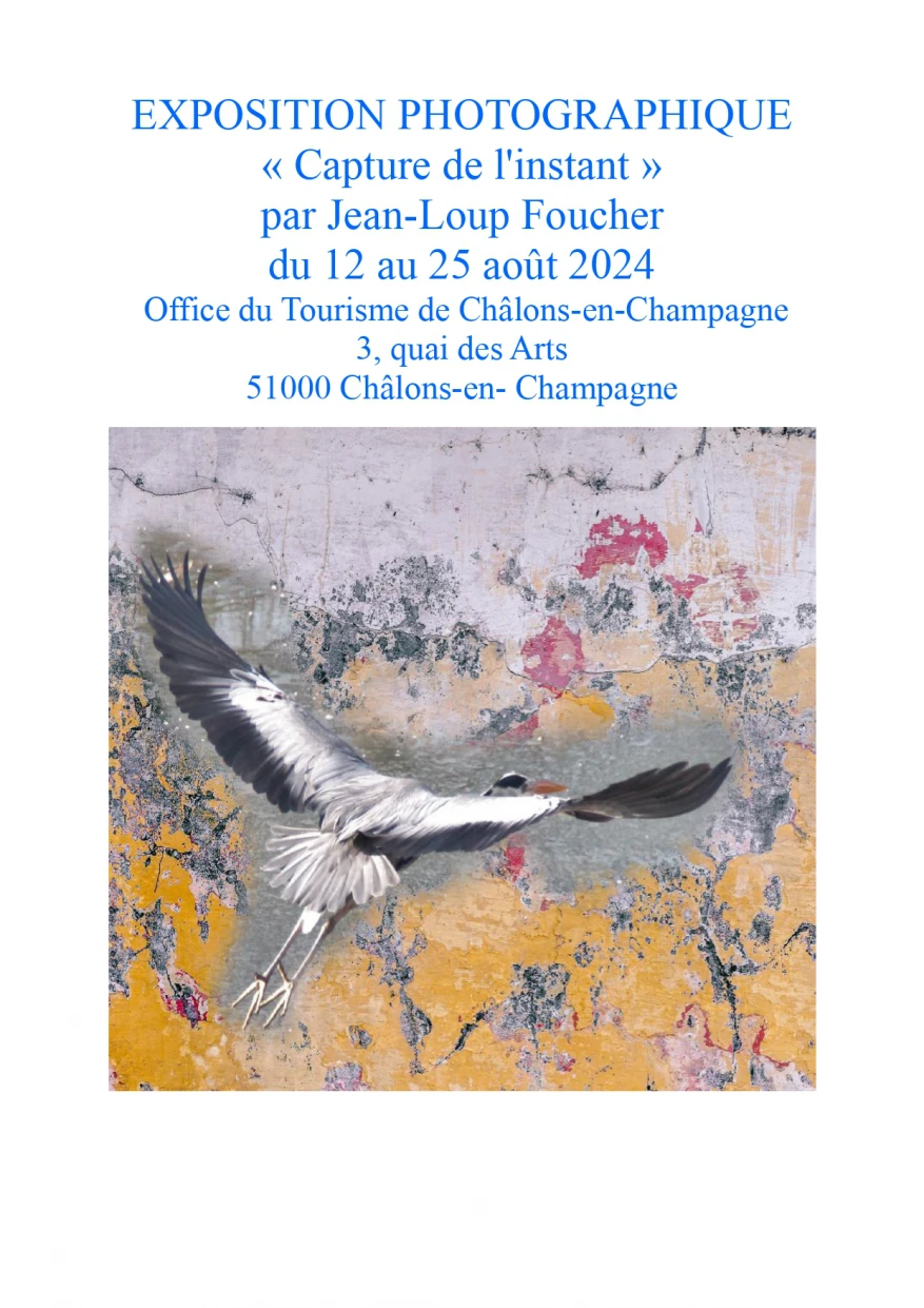Exposition : Jean-Loup Foucher